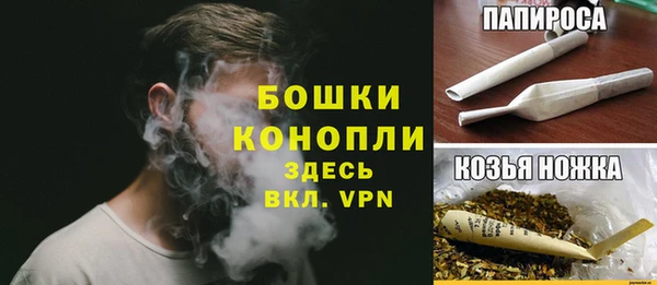 сатива Аркадак
