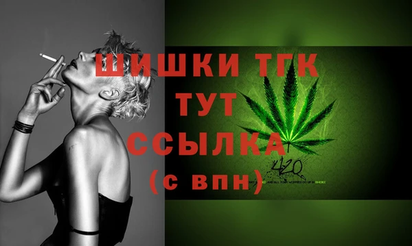 сатива Аркадак