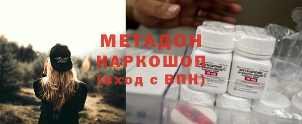 крисы Алексин