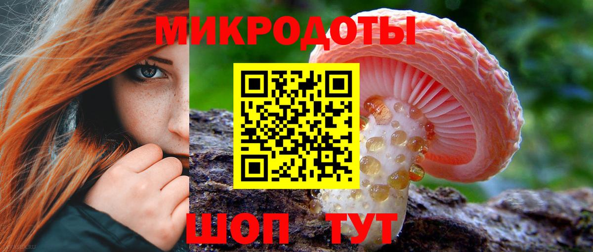 Галлюциногенные грибы мицелий Дивногорск