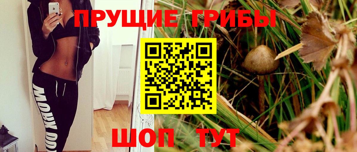 Псилоцибиновые грибы MAGIC MUSHROOMS  купить закладку  Галлюциногенные грибы мухоморы  Дивногорск 