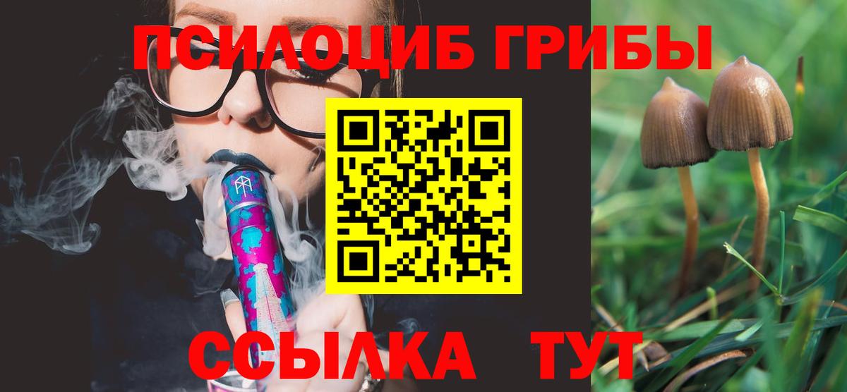 Галлюциногенные грибы Cubensis  Псилоцибиновые грибы мухоморы  Вход с VPN  Дивногорск 